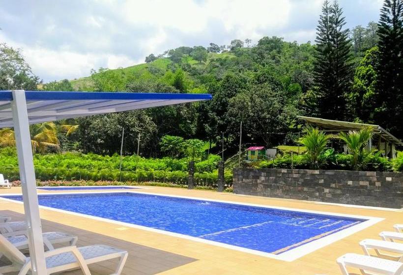 Mandala Hotel Concept