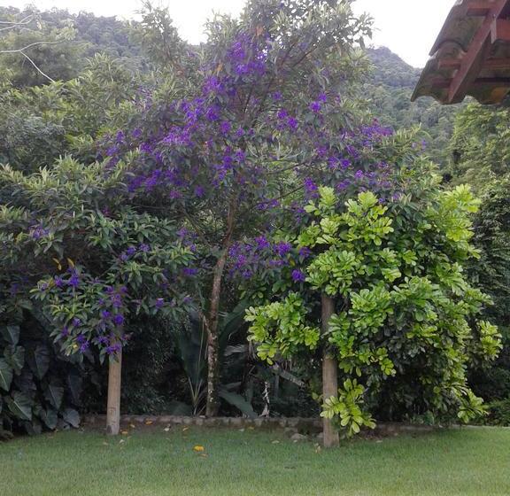 تختخواب و صبحانه Grauna Guest House