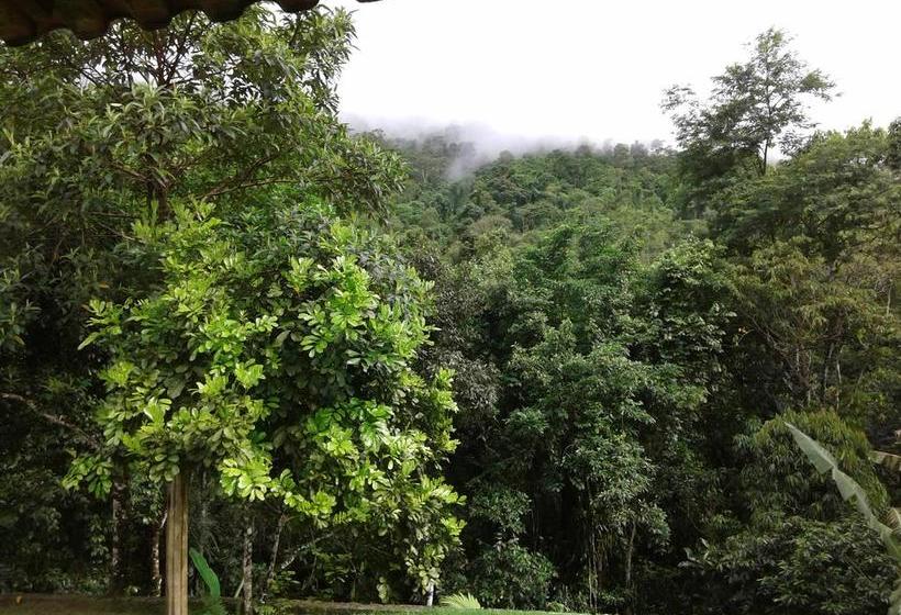 تختخواب و صبحانه Grauna Guest House