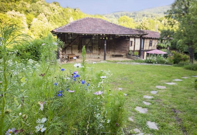 צימר Little River Guest House