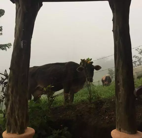 ホテル Casa Torre Eco- Lodge