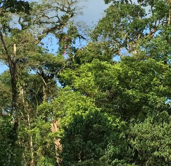 ホテル Casa Torre Eco- Lodge