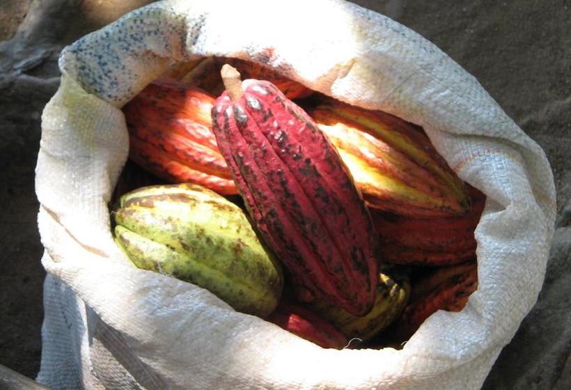 فندق San Juan Periferico