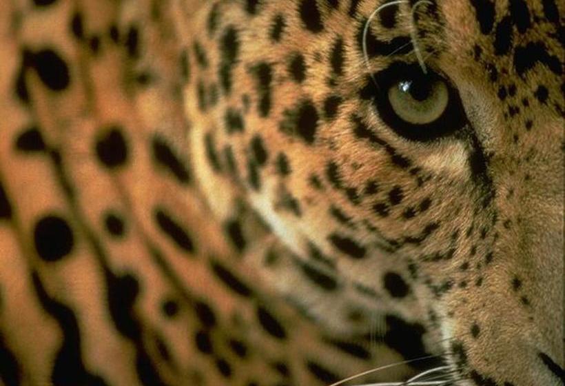 فندق San Juan Periferico