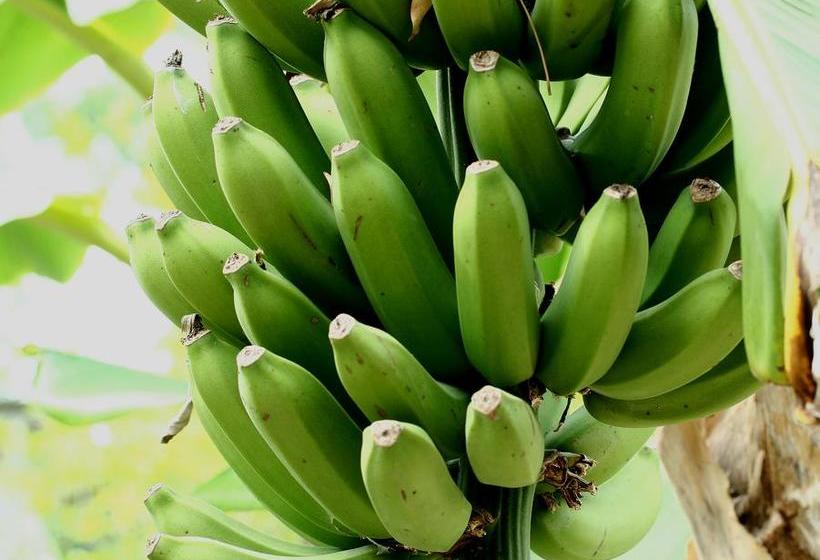 فندق San Juan Periferico