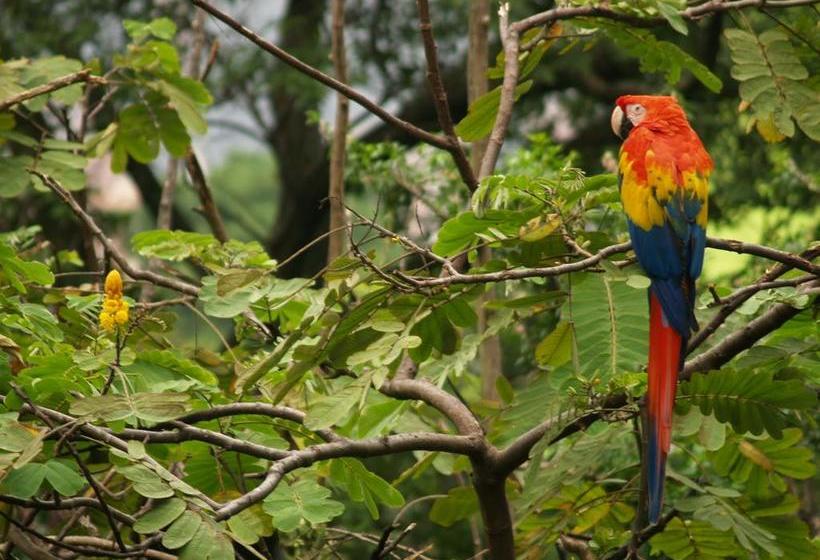فندق San Juan Periferico