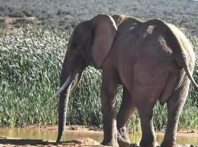 ホテル Sun1 Port Elizabeth