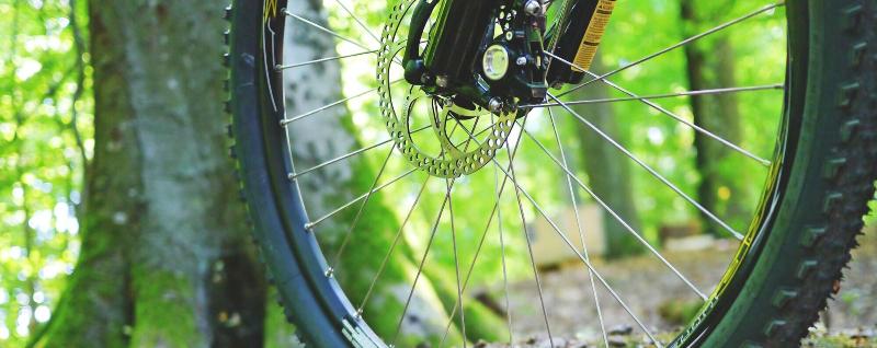 Waldhotel Peter Aufm Berge