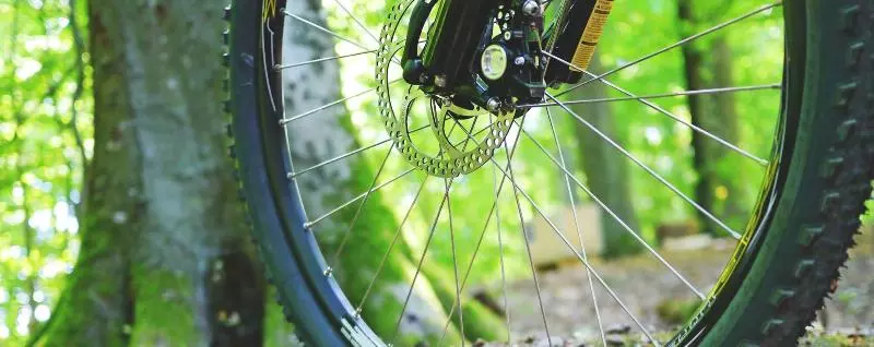 Waldhotel Peter Aufm Berge