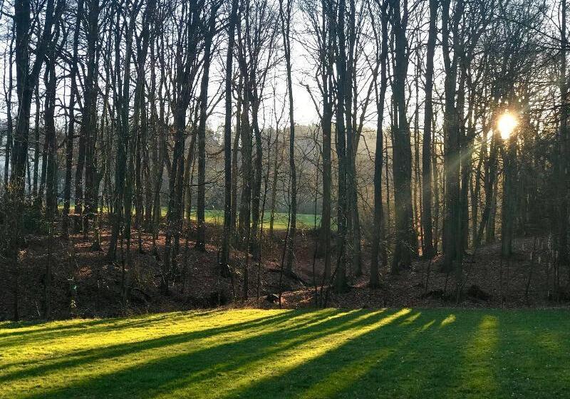 Waldhotel Peter Aufm Berge