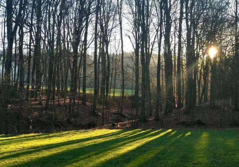 Waldhotel Peter Aufm Berge