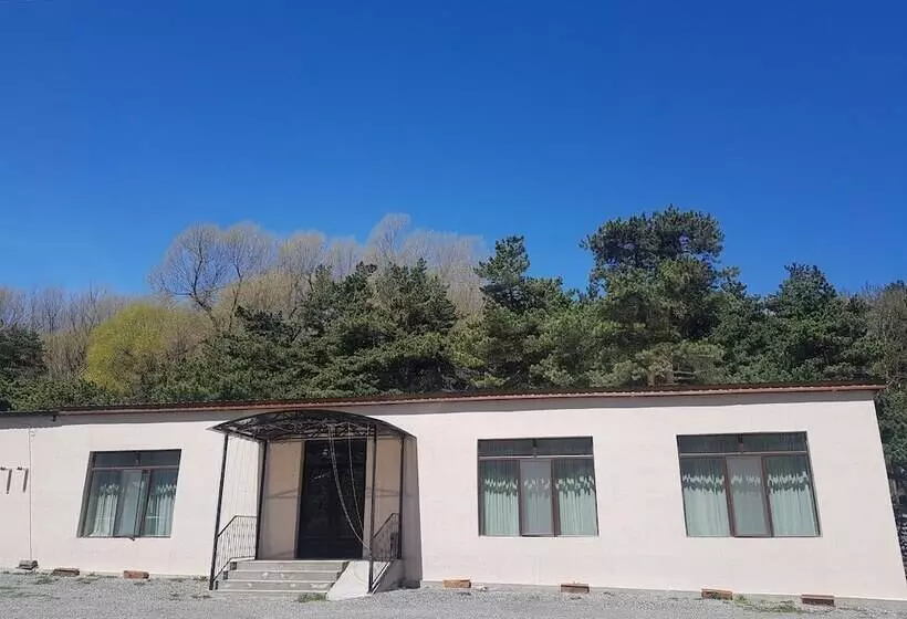 Cozy Hotel Kazbegi