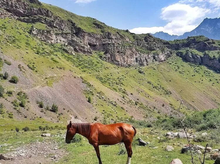 Cozy Hotel Kazbegi