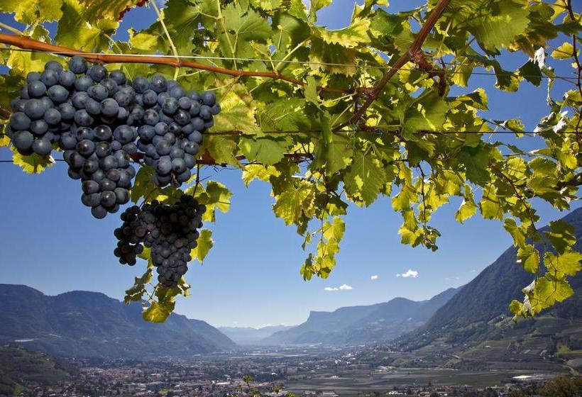 בית מלון כפרי Garni Oberanger