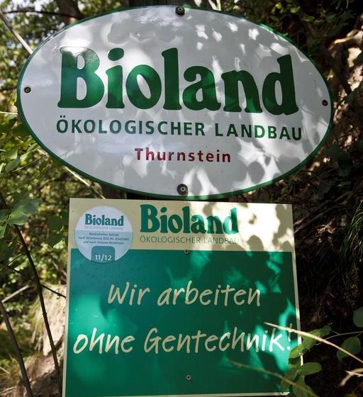 בית מלון כפרי Garni Oberanger