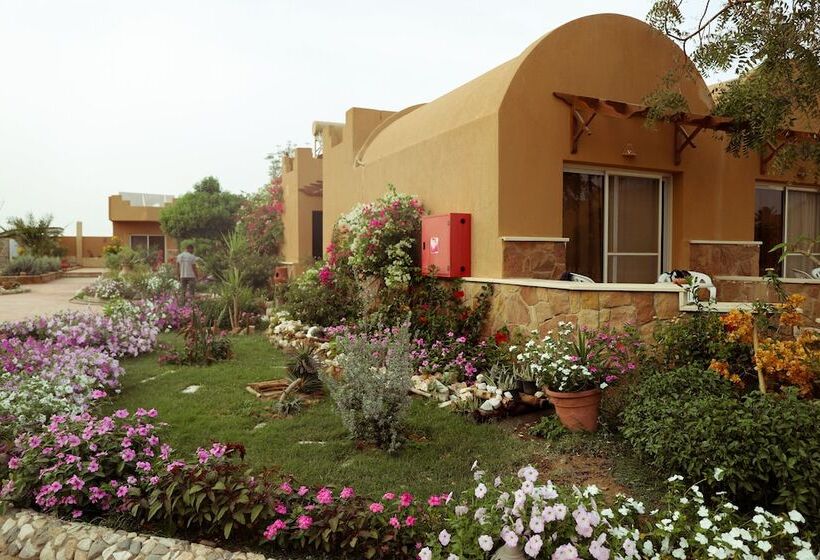 استراحتگاه Silver Beach Boutique