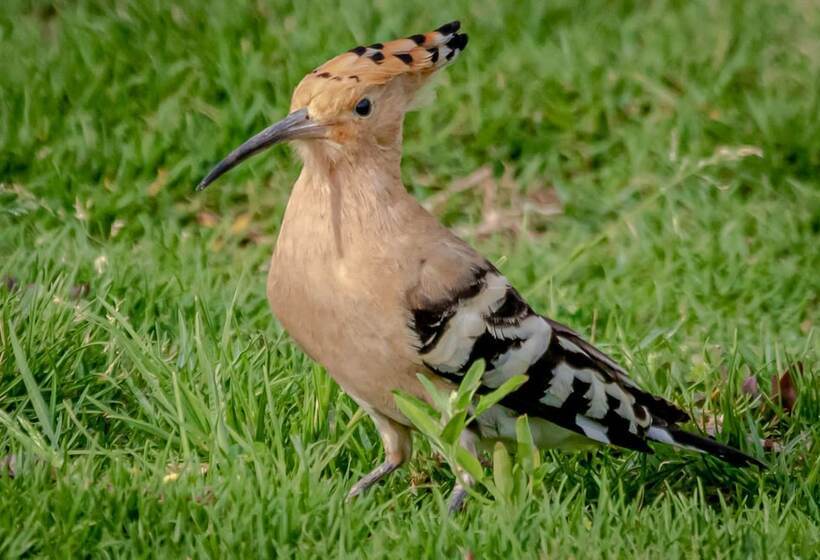 استراحتگاه Silver Beach Boutique