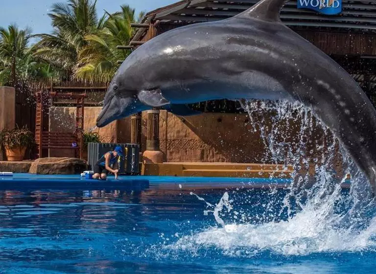 Bayside Hotel & Self Catering 110 West Street