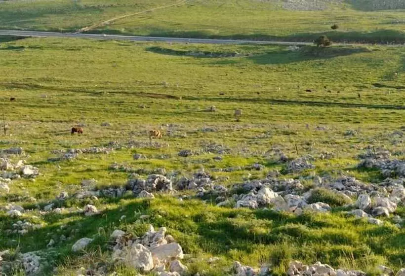 בית מלון כפרי קאמי מלון בוטיק