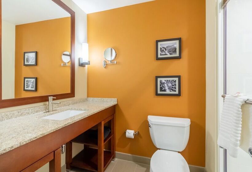 فندق Comfort Inn & Suites – Harrisburg Airport – Hershey South