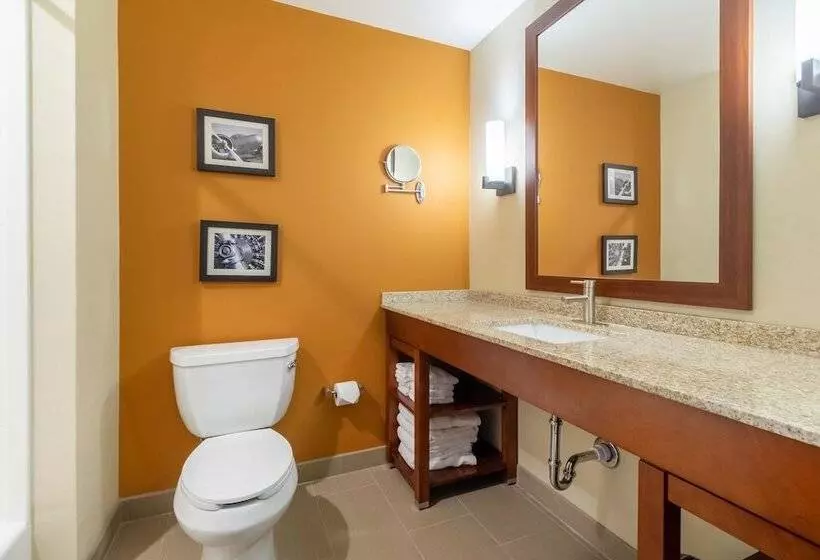 Hotelli Comfort Inn & Suites – Harrisburg Airport – Hershey South