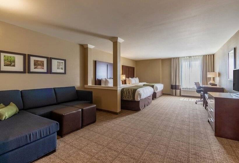 فندق Comfort Inn & Suites – Harrisburg Airport – Hershey South