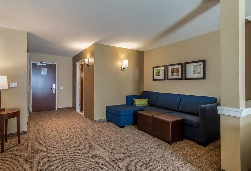 فندق Comfort Inn & Suites – Harrisburg Airport – Hershey South