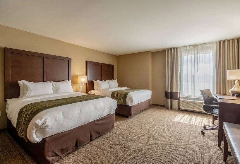 فندق Comfort Inn & Suites – Harrisburg Airport – Hershey South