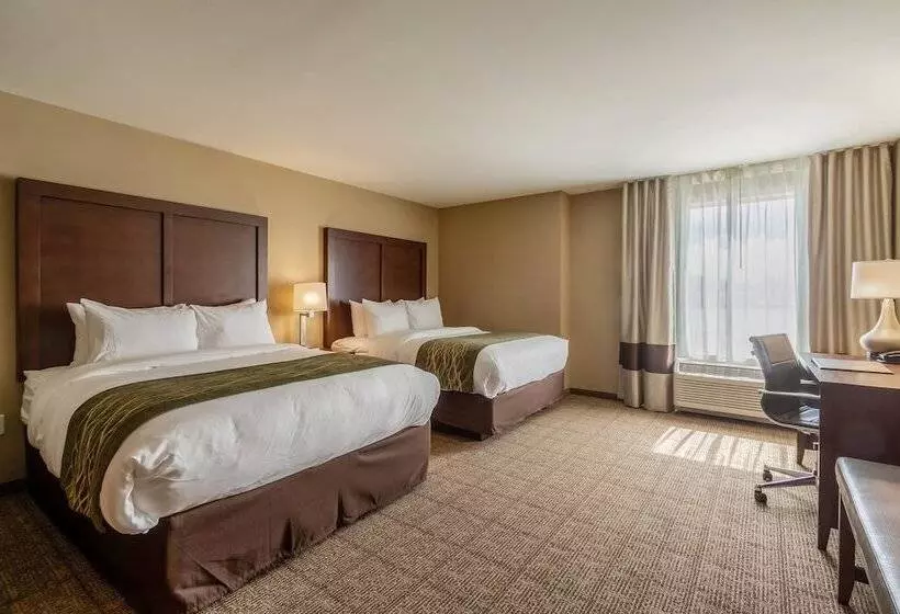 Hotelli Comfort Inn & Suites – Harrisburg Airport – Hershey South