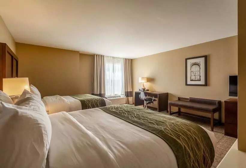 Hotelli Comfort Inn & Suites – Harrisburg Airport – Hershey South