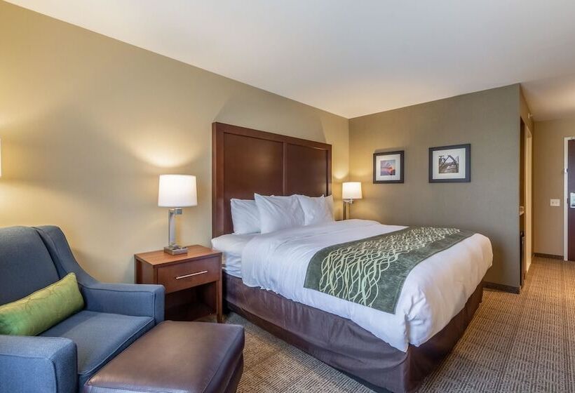 فندق Comfort Inn & Suites – Harrisburg Airport – Hershey South