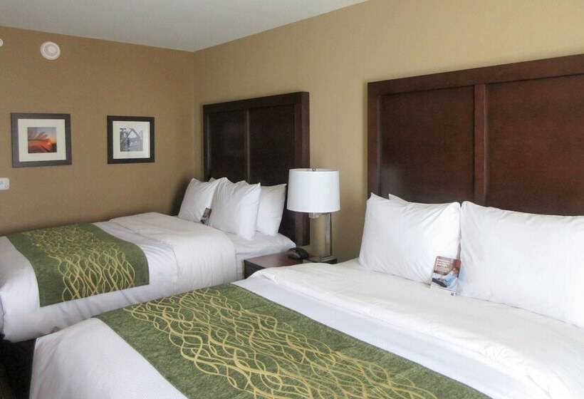 فندق Comfort Inn & Suites – Harrisburg Airport – Hershey South