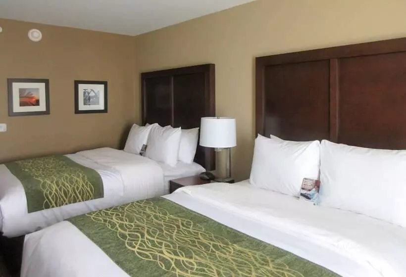 Hotelli Comfort Inn & Suites – Harrisburg Airport – Hershey South
