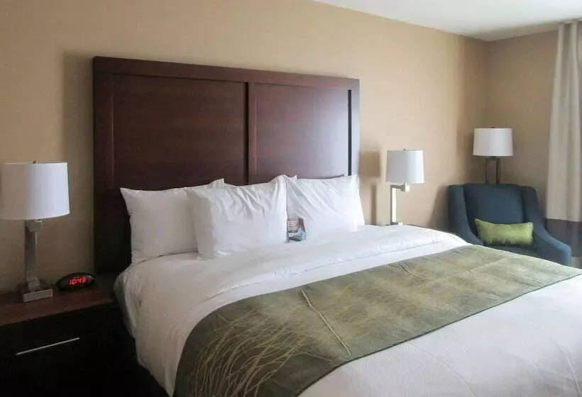 Hotelli Comfort Inn & Suites – Harrisburg Airport – Hershey South