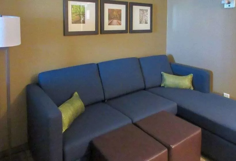 Hotelli Comfort Inn & Suites – Harrisburg Airport – Hershey South