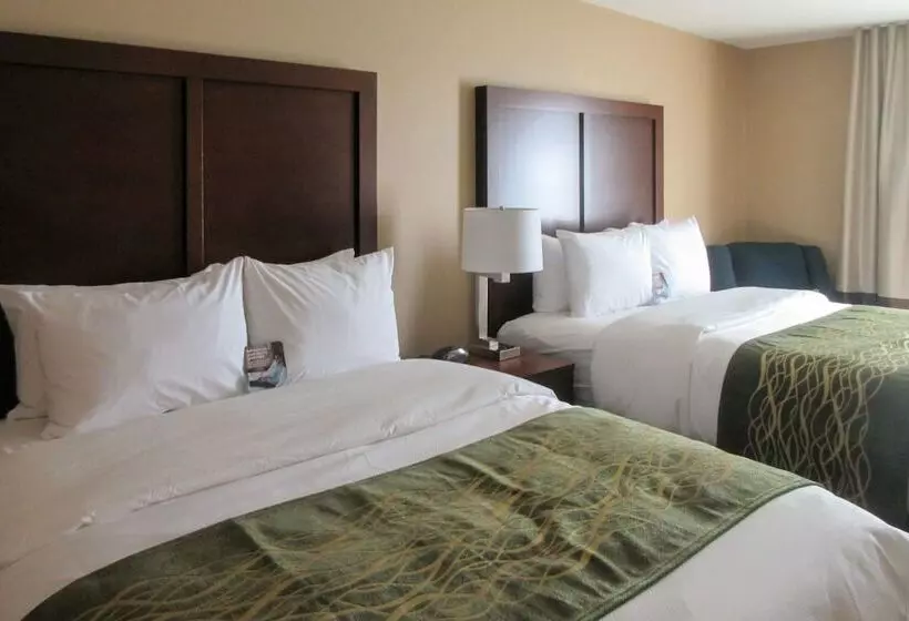 Hotelli Comfort Inn & Suites – Harrisburg Airport – Hershey South