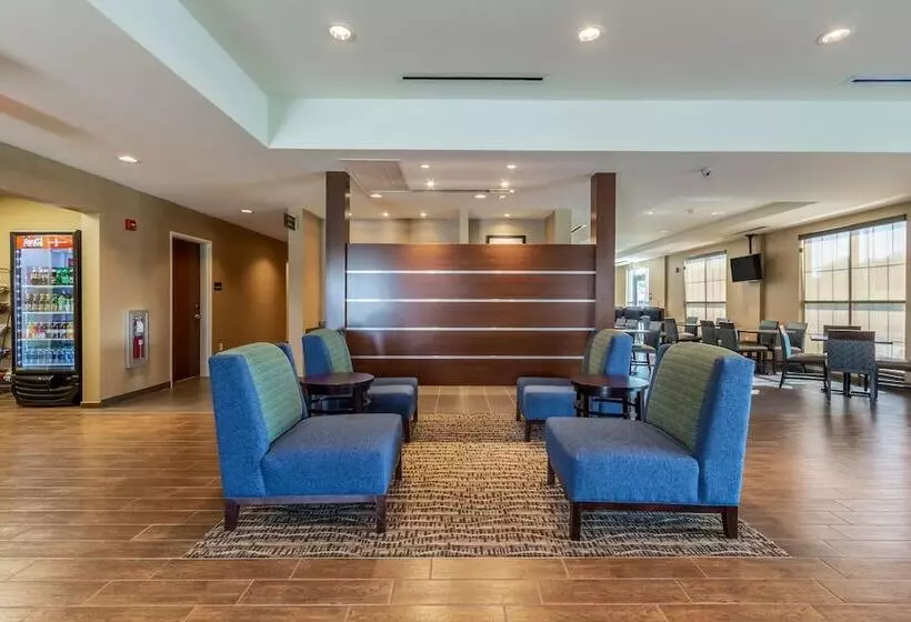 Hotelli Comfort Inn & Suites – Harrisburg Airport – Hershey South
