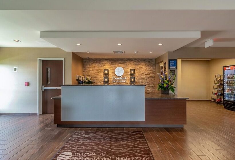 فندق Comfort Inn & Suites – Harrisburg Airport – Hershey South