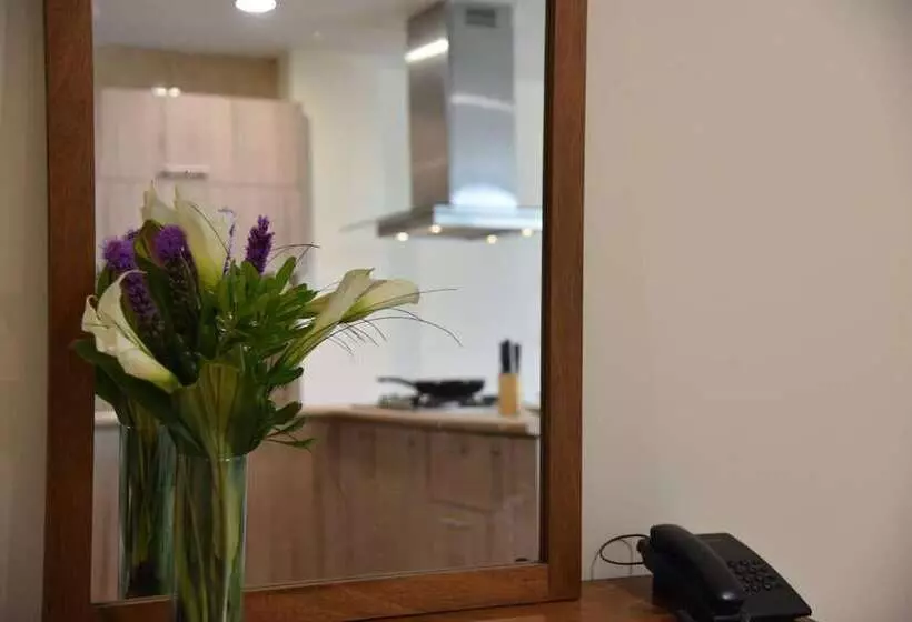 هتل Suites San Pedro