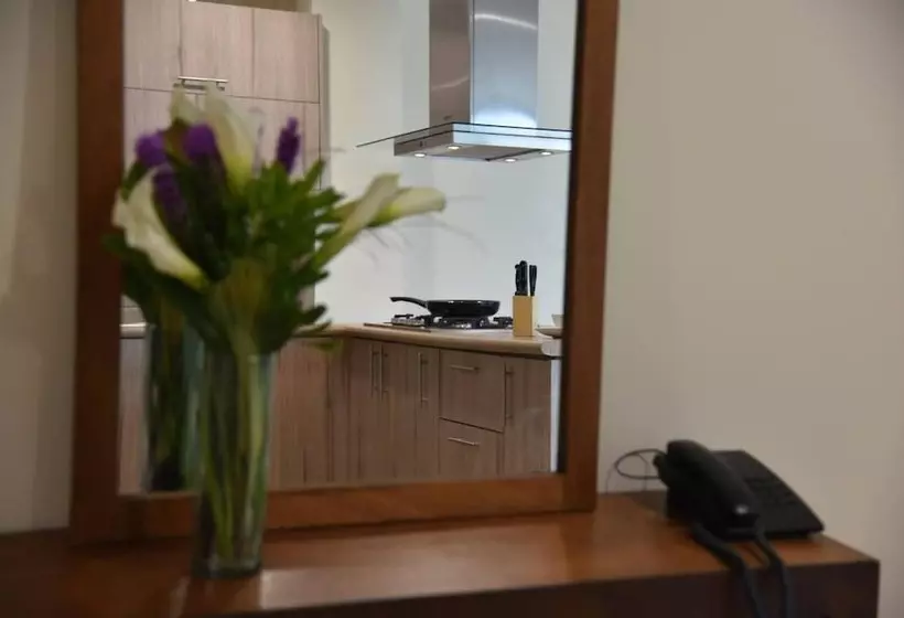 هتل Suites San Pedro