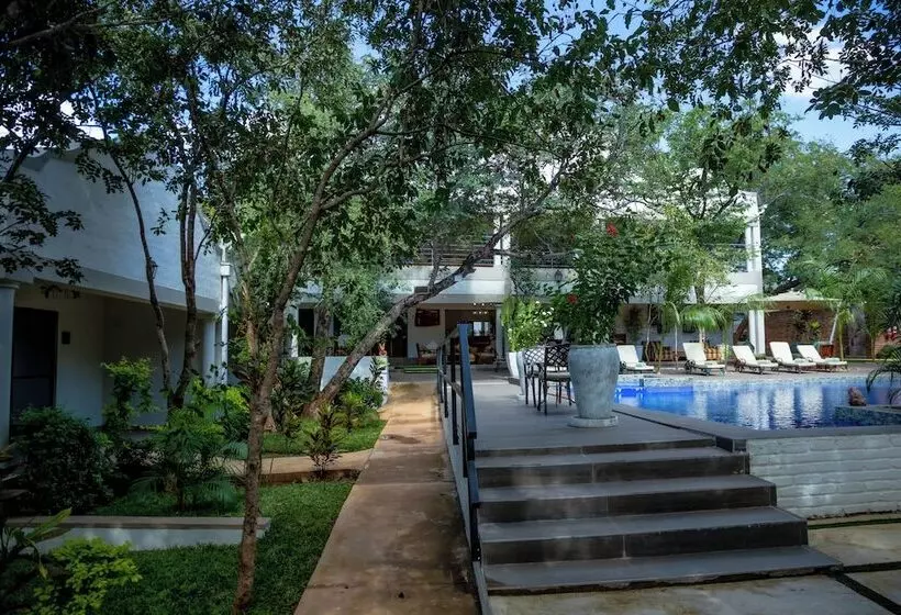 هتل Kasambabezi Lodge