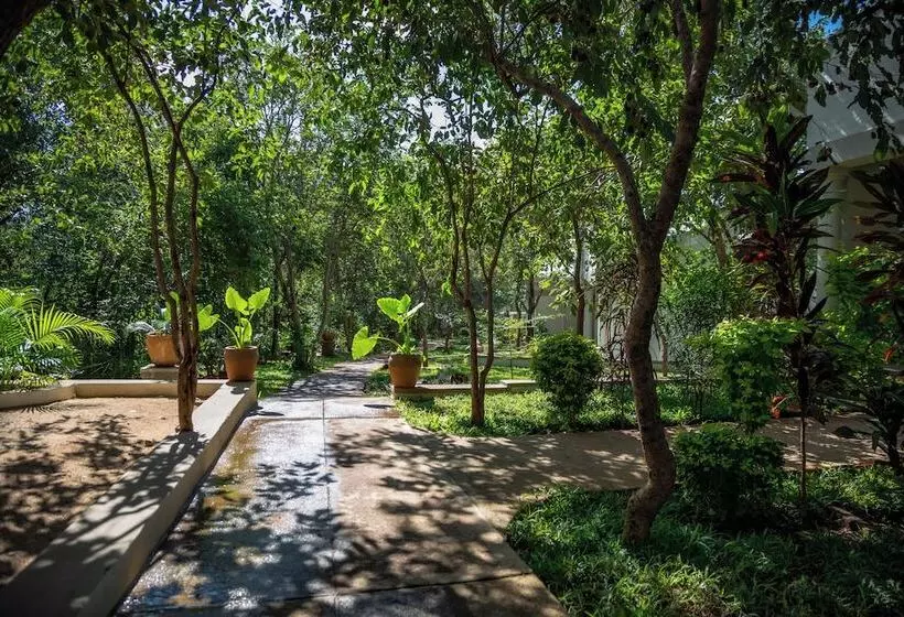 هتل Kasambabezi Lodge