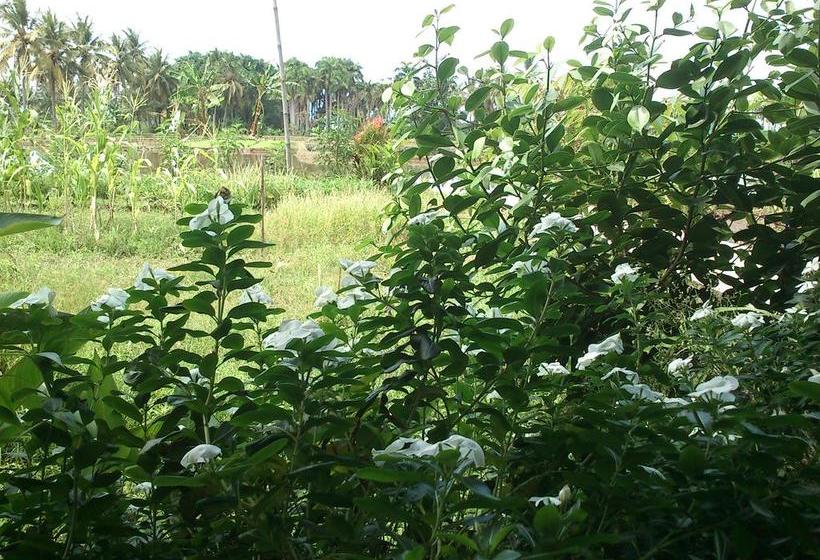 Cimajasquare Hotel & Restaurant