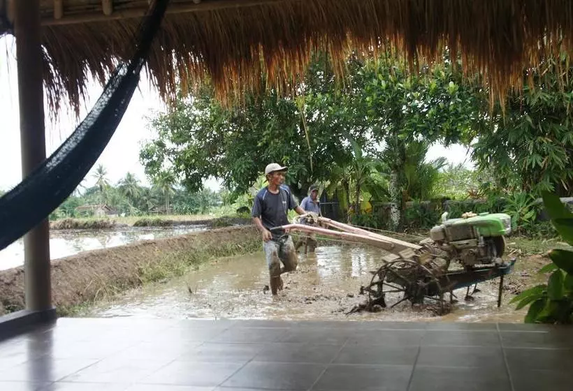 Cimajasquare Hotel & Restaurant