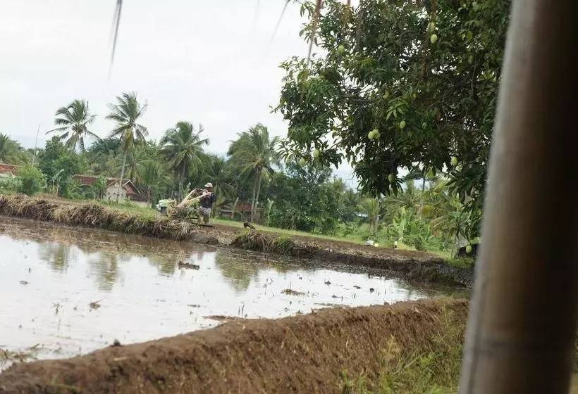 Cimajasquare Hotel & Restaurant