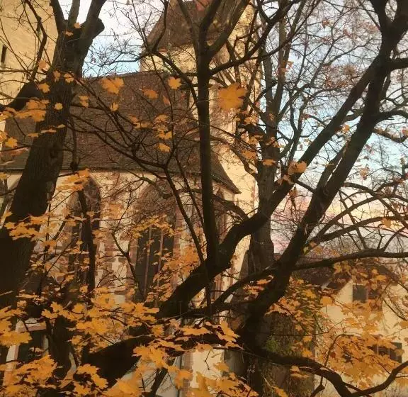 ホテル Brasserie Au Violon