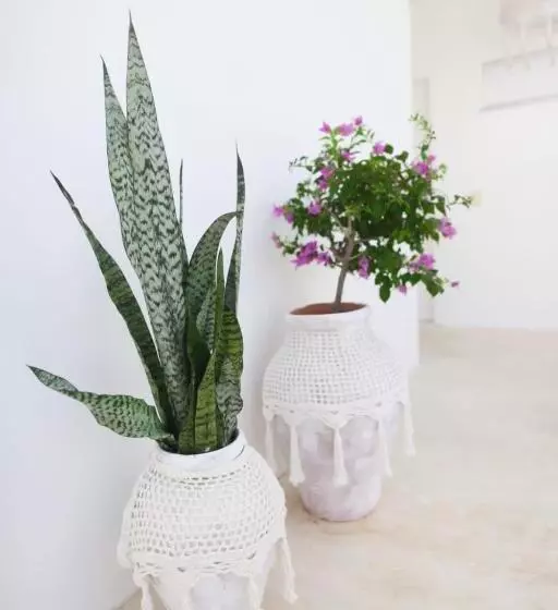 ホテル Monte Alegre Beach