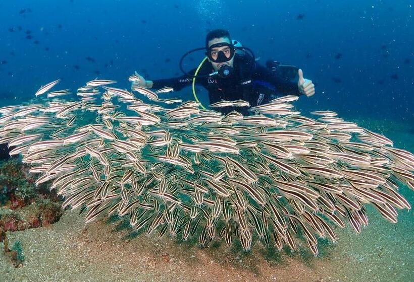 Isla Water Sports And Resorts Inc