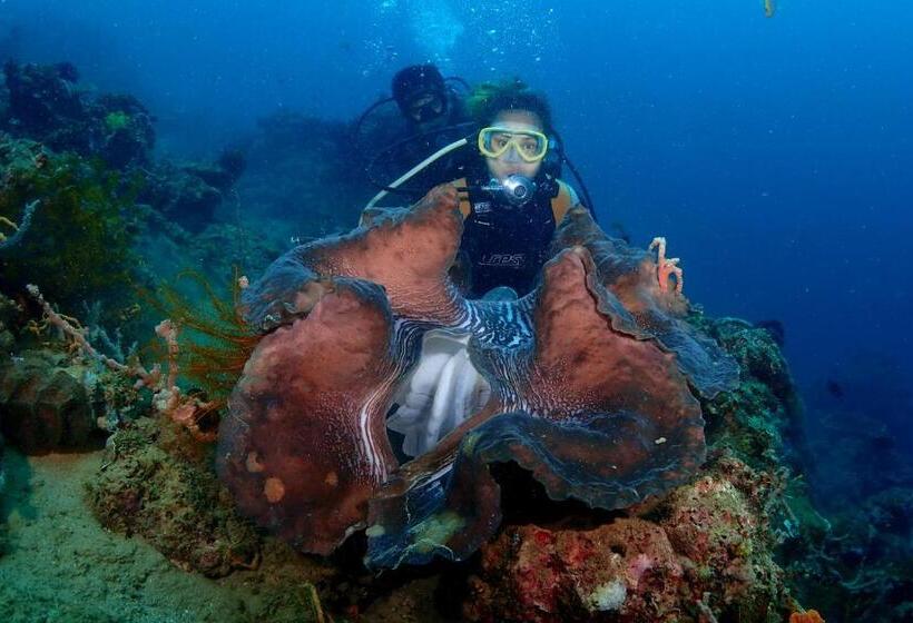 Isla Water Sports And Resorts Inc