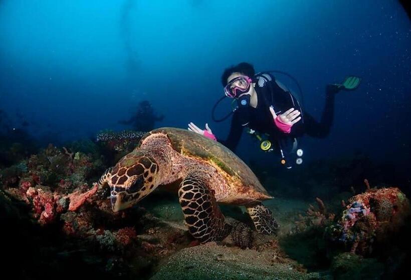 Isla Water Sports And Resorts Inc